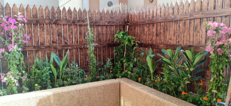 ارخص شركة تنسيق حدائق داخل الرياض 0541302661